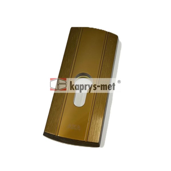 Szyld AXA PRESTIGE bez zabez.FLEX F4 at.C