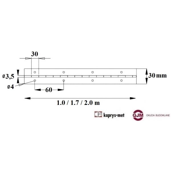 Zawias taśmowy 1,7 m surowy