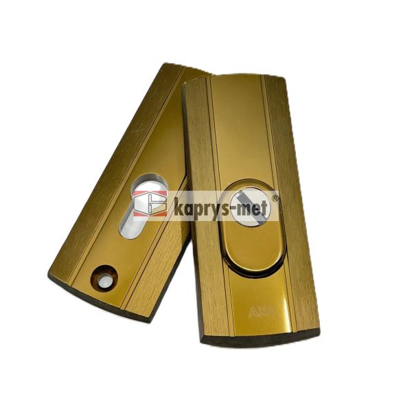 Szyld AXA PRESTIGE z zabez.FLEX F4 at.C